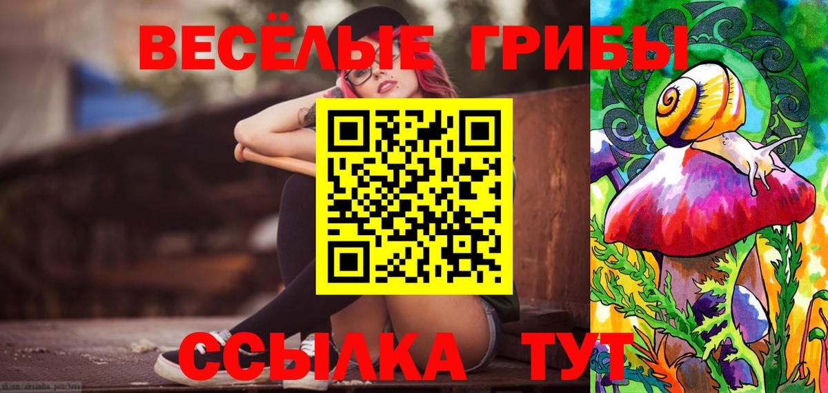 Топки  Галлюциногенные грибы ЛСД  Галлюциногенные грибы Psilocybine cubensis  даркнет сайт  Вход с VPN 