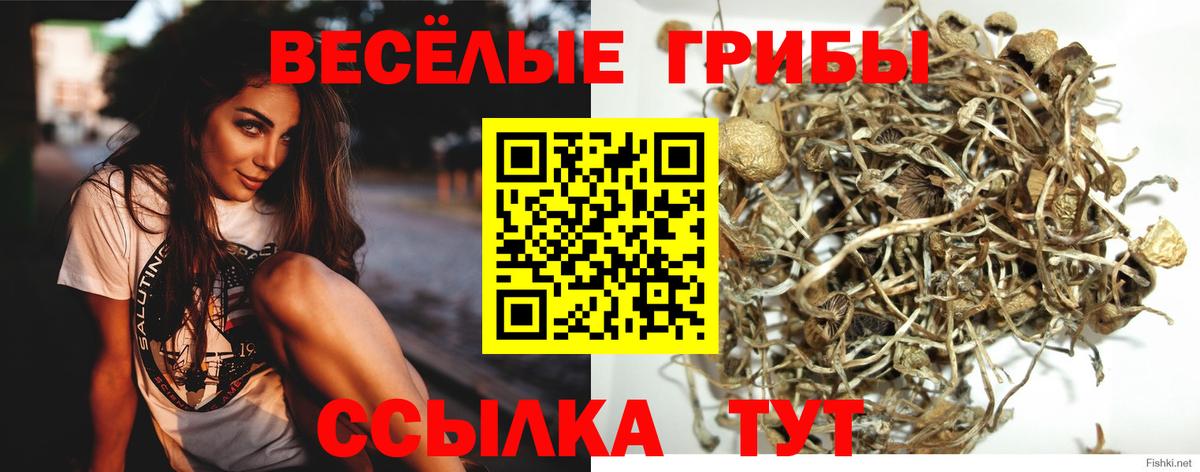 Галлюциногенные грибы мицелий Топки